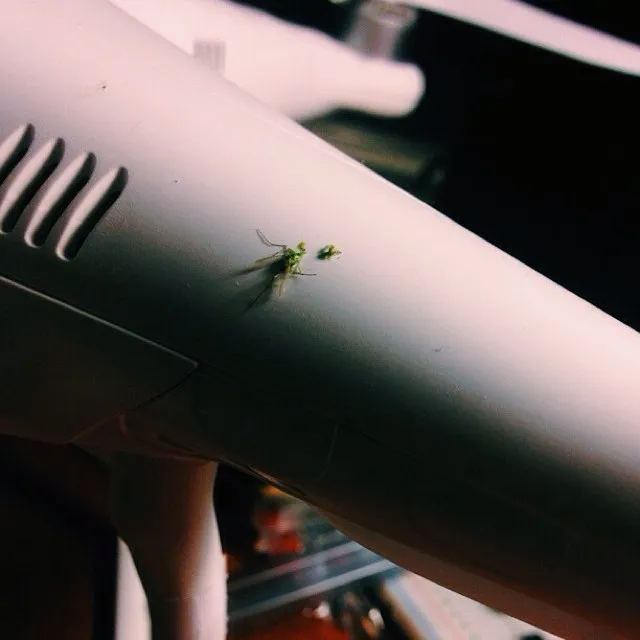 A large, white, cylindrical object dominates the frame, angled diagonally, with a small cluster of green insects resting on its smooth side against a dark background.
