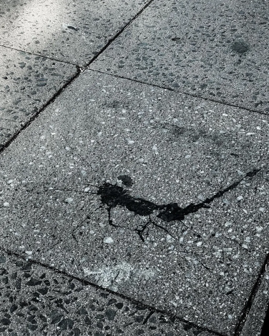 Grayscale photograph of segmented concrete pavement featuring visible seams and a dark, amorphous stain in the center slab, accompanied by fine surface cracks.