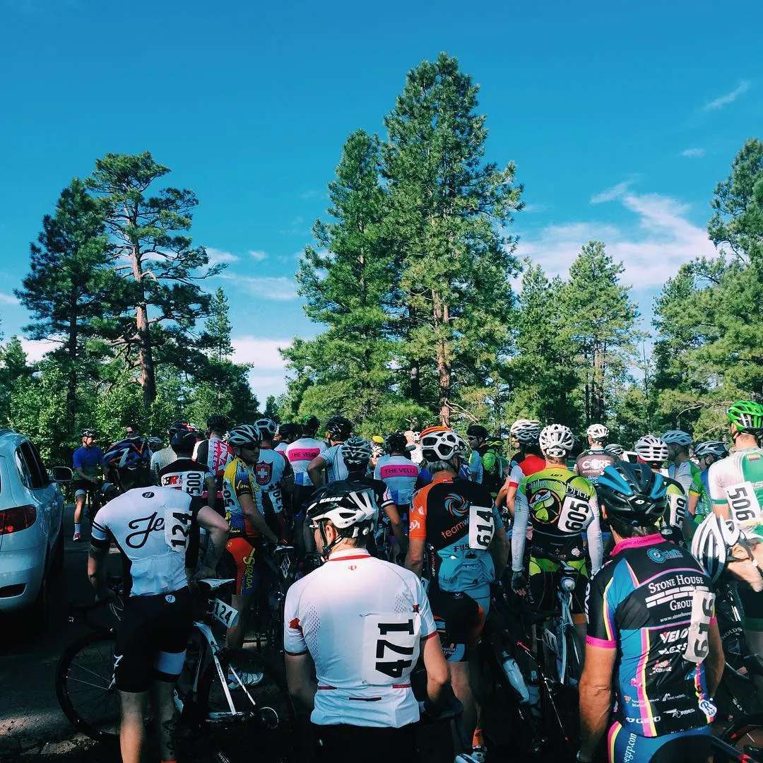 Cyclists in brightly colored athletic gear gather in the foreground beneath a canopy of tall green pine trees and a bright blue sky.