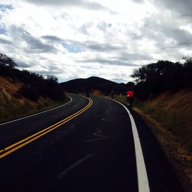 The asphalt road curves into the distance, marked by bright yellow double lines and a white shoulder, framed by dark foliage and an expansive, cloudy sky.