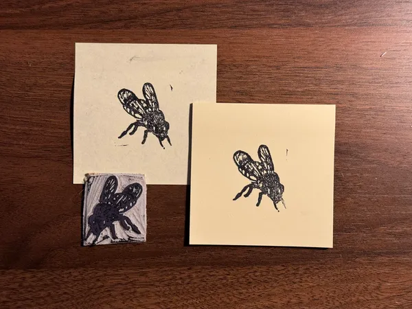 Four black ink sketches of insects are arranged on light tan paper squares on a dark wooden surface, including one small, detailed sketch on a textured piece.