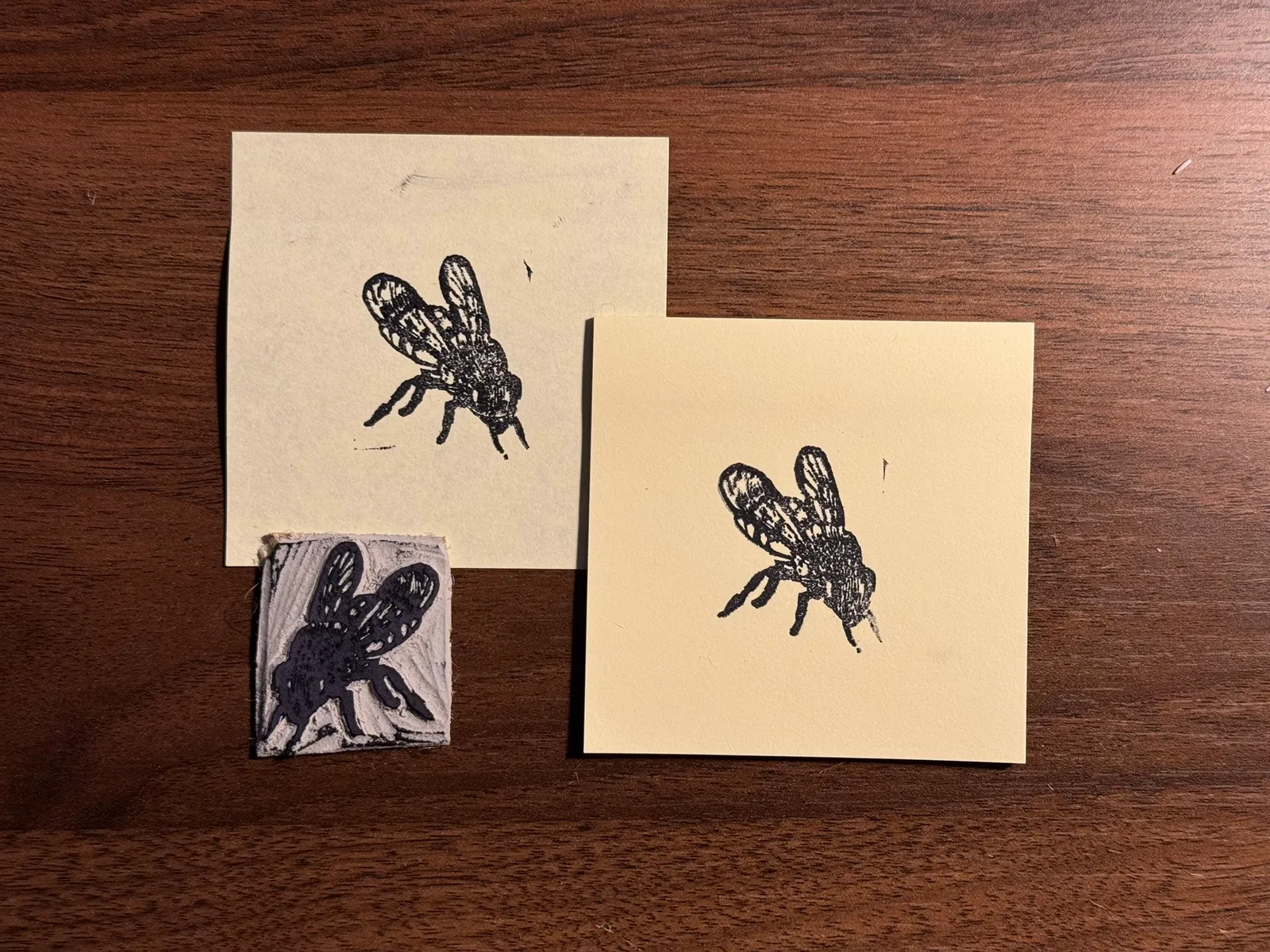Four black ink sketches of insects are arranged on light tan paper squares on a dark wooden surface, including one small, detailed sketch on a textured piece.