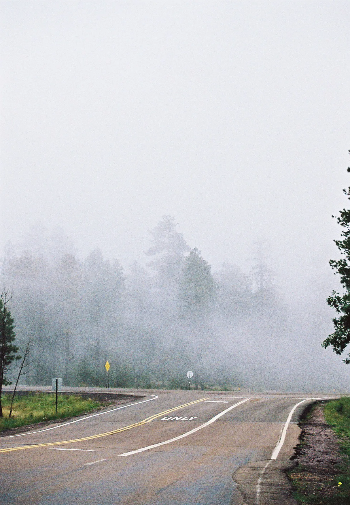 A foggy scene shows a curving asphalt road flanked by dense, misty trees under a gray sky, with yellow and white road markings visible on the surface.