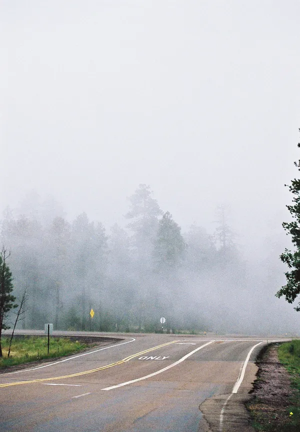 A foggy scene shows a curving asphalt road flanked by dense, misty trees under a gray sky, with yellow and white road markings visible on the surface.