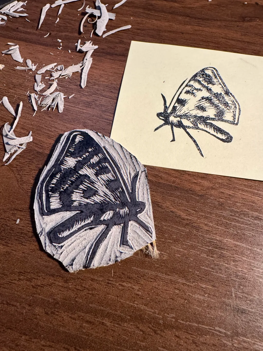 A dark wooden surface holds a drawn moth on cream paper, next to a physical, black-marked moth wing specimen and scattered white fragments.