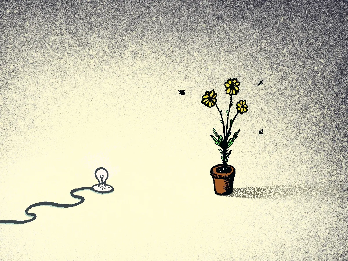 A flower getting light from a lightbulb with some bugs floating around it.