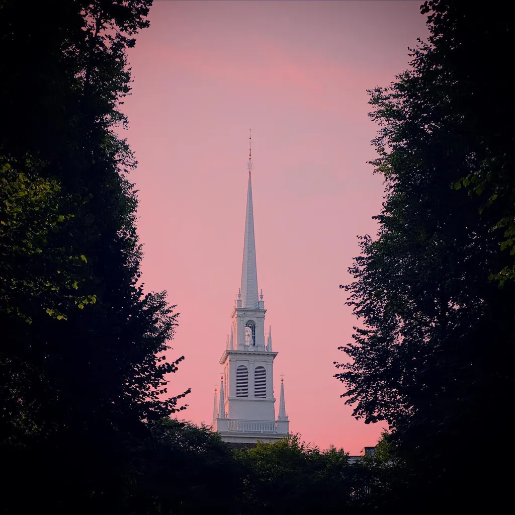 Dense, dark foliage frames a white church spire centered against a pale pink sky at dusk.