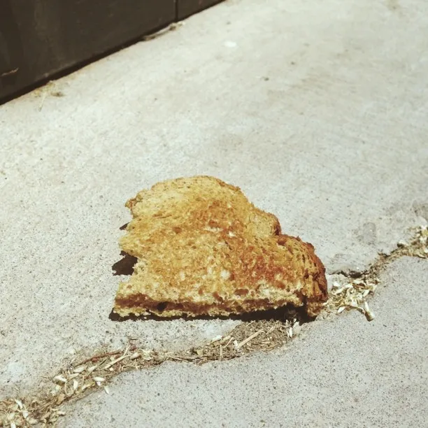 A golden-brown, toasted piece of bread rests on a light, textured surface, surrounded by scattered crumbs and debris.