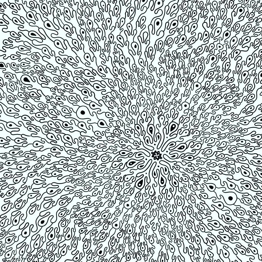 Black and white abstract pattern featuring dense, symmetrical, organic line work radiating outwards from a central point in concentric circles.