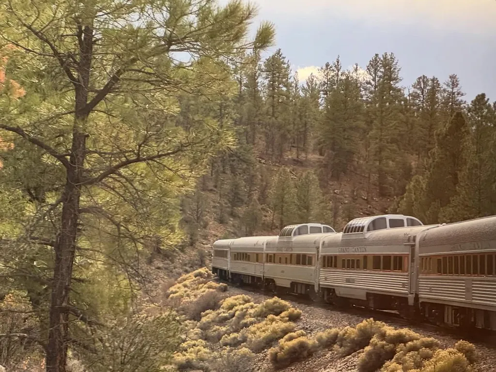 A train of cream and silver cars travels through a dense, green forest landscape, framed by scrub brush and a large tree trunk in the foreground.