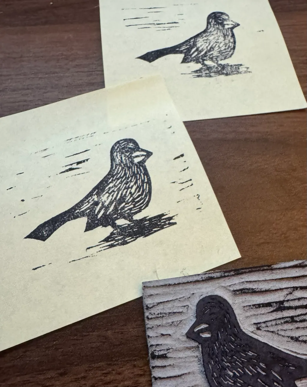 Three black drawings of birds are arranged on a dark wood surface, featuring different styles of line work, including light sketches and dense cross-hatching.