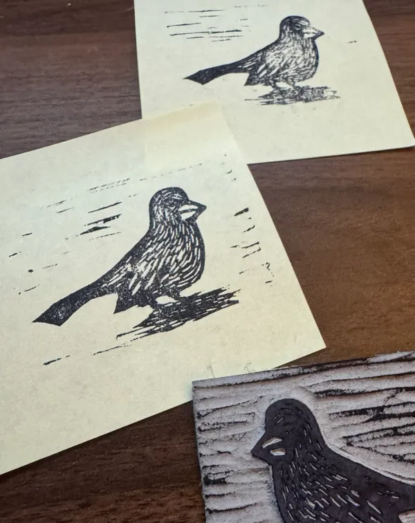 Three black drawings of birds are arranged on a dark wood surface, featuring different styles of line work, including light sketches and dense cross-hatching.