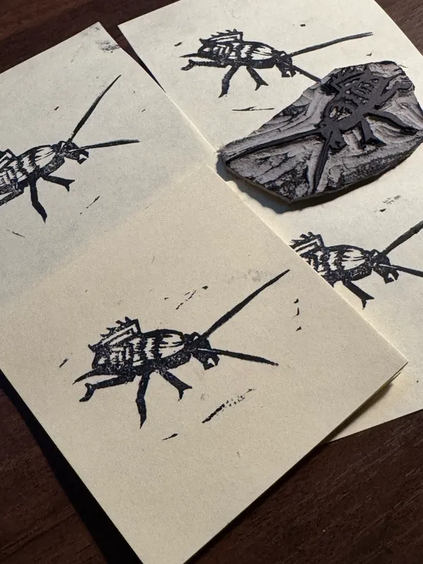 Black ink sketches of stylized insects are arranged on cream paper, with a central, dark, heavily textured piece resting on the sheets.