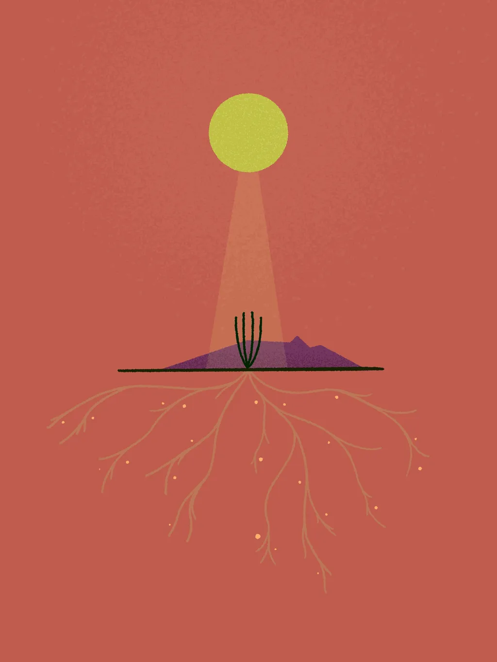 On a reddish background, a yellow circle shines down onto a purple horizontal line, from which delicate pink roots spread downward.