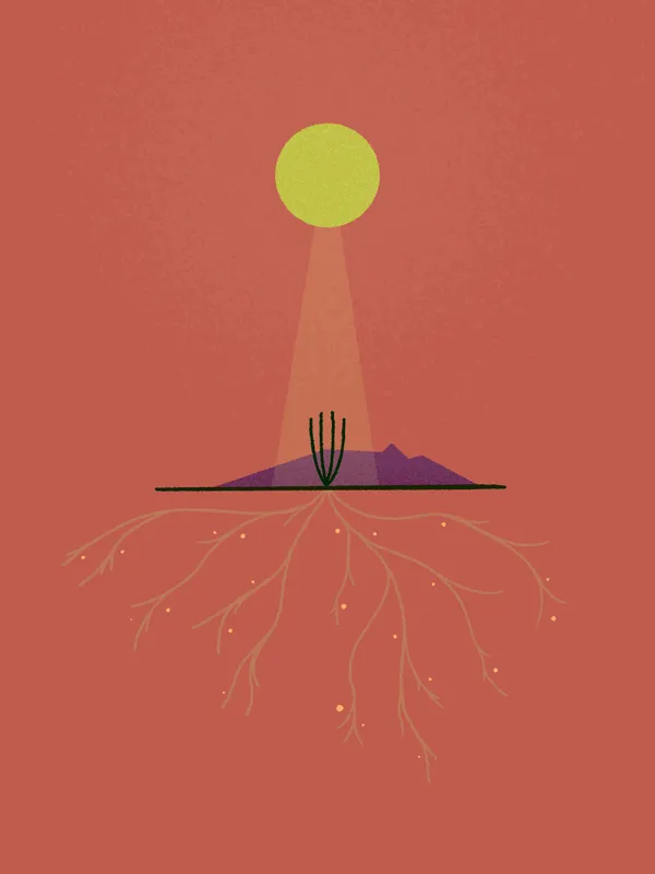 On a reddish background, a yellow circle shines down onto a purple horizontal line, from which delicate pink roots spread downward.