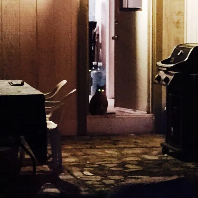 Muted brown wood paneling surrounds a dimly lit interior featuring a dark table on the left, a small cat in the central doorway, and a dark, mechanical object on the right, resting on a textured floor.
