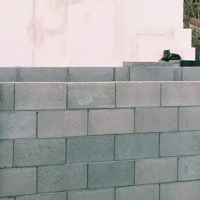 The upper section is a stained, off-white wall that meets a lower section of neatly stacked, light gray rectangular blocks, with two dark objects resting on the corner.