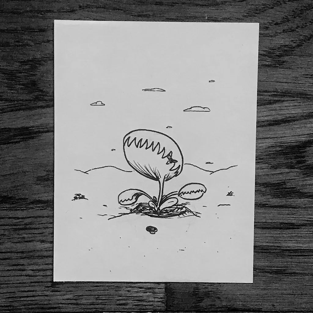 A simple black line drawing depicts a seedling with large leaves rising from a small mound of earth, accompanied by two seeds, set against a sparse background featuring cloud shapes.