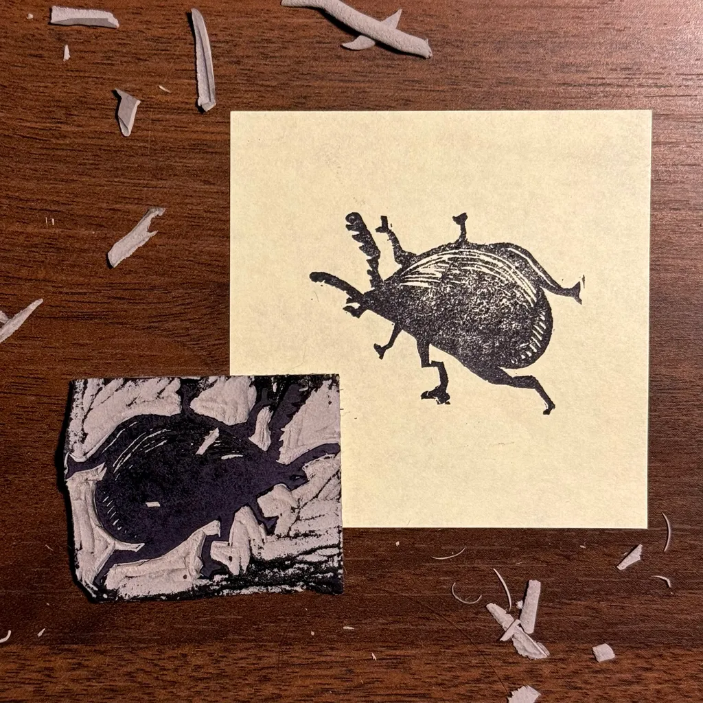 Two black ink drawings of beetles rest on a dark brown wooden surface scattered with wood shavings; the drawings are on separate squares of light and dark paper.