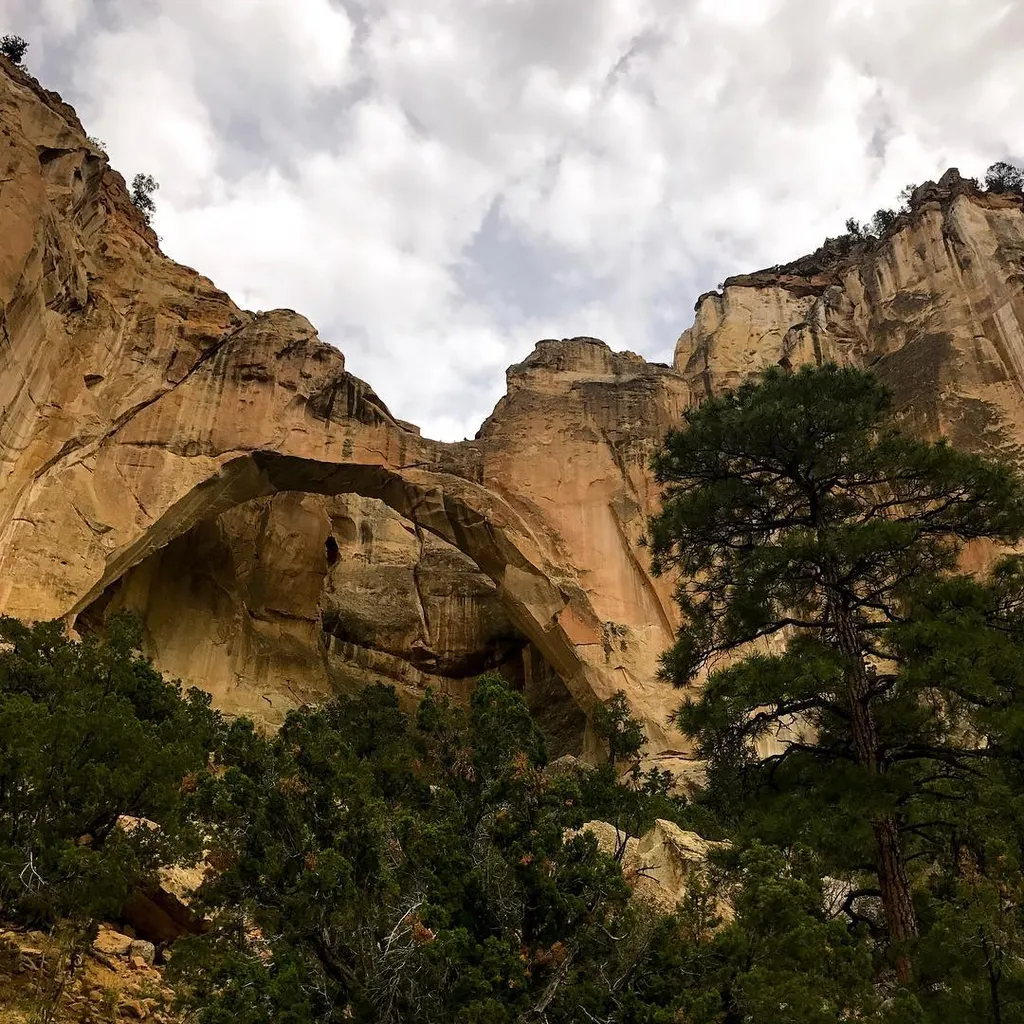 Overhanging tan rock cliffs, showing horizontal stratification and erosion, dominate the upper frame, contrasting with dark green trees and a cloudy sky below.