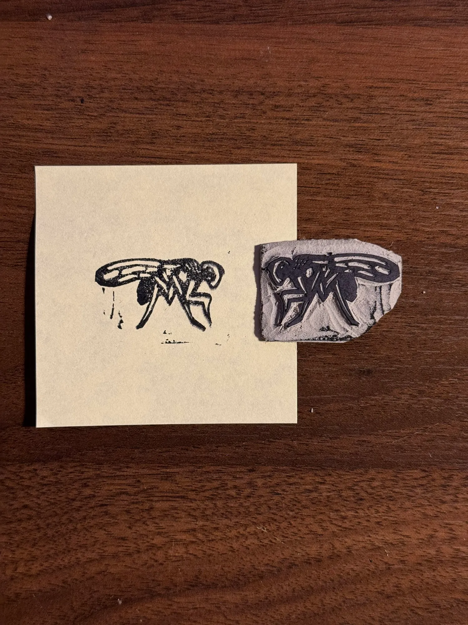 Two stylized black ink drawings of insects are displayed on a dark wood background, with one drawing on a light cream square and the second on a textured gray piece.