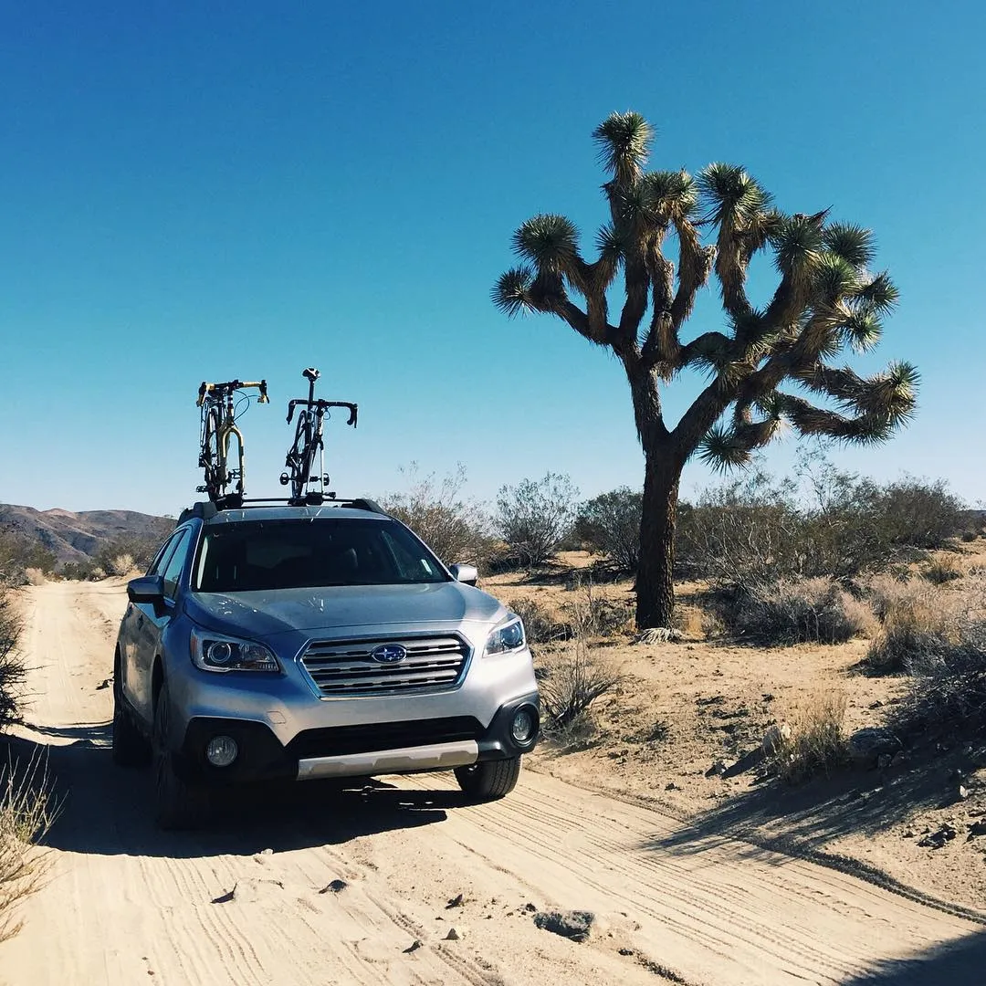 A silver SUV with roof bike racks sits on a dusty dirt road beneath a bright blue sky, positioned near a large, branching Joshua tree and arid scrub brush.
