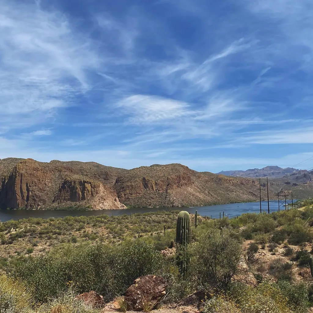 Arid mountains rise from a wide river under a bright blue sky with wispy clouds; the foreground features scrub brush, rocks, and a saguaro cactus.