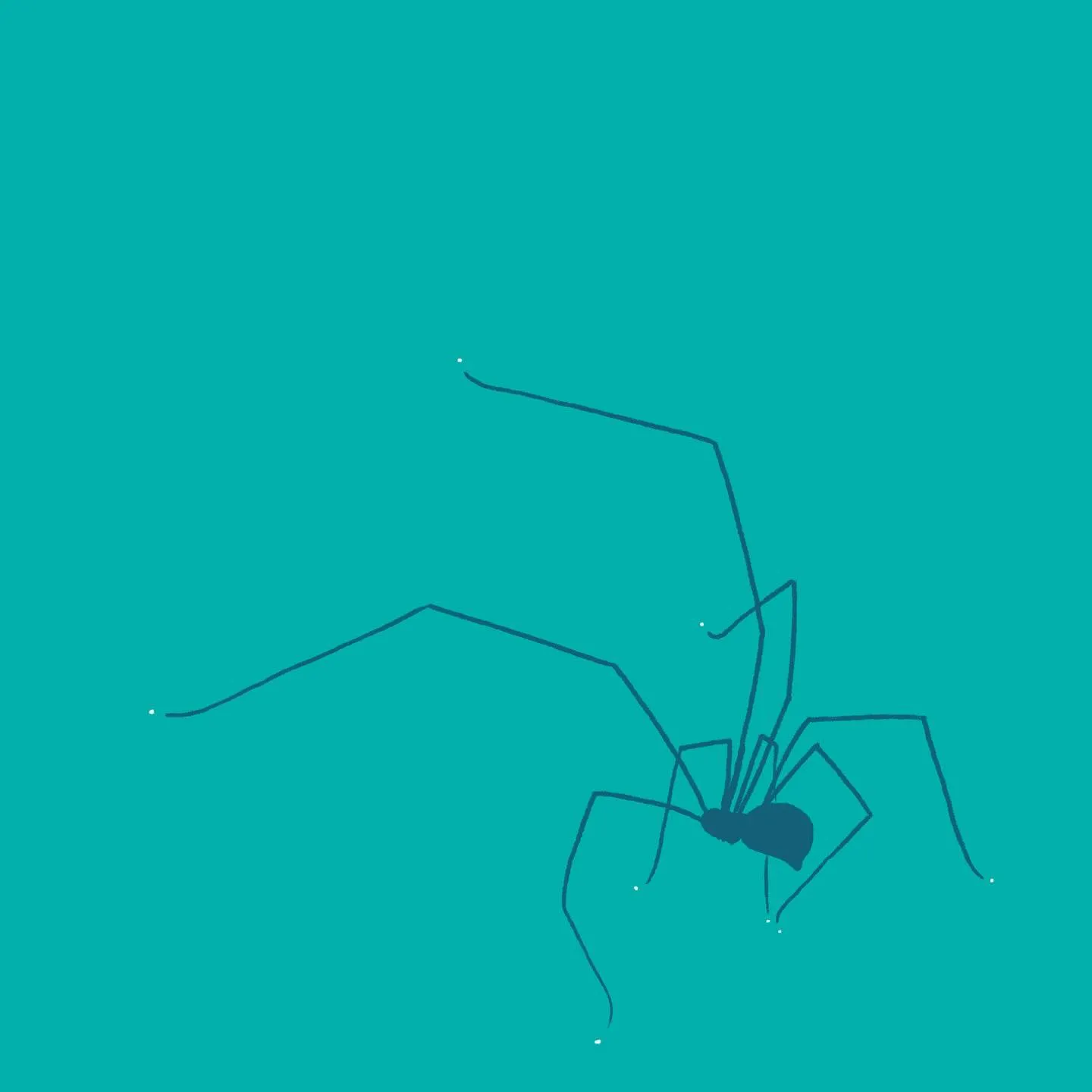 A dark blue, stylized drawing of a large spider is set against a solid teal background, featuring thin lines for the legs and a solid body shape.