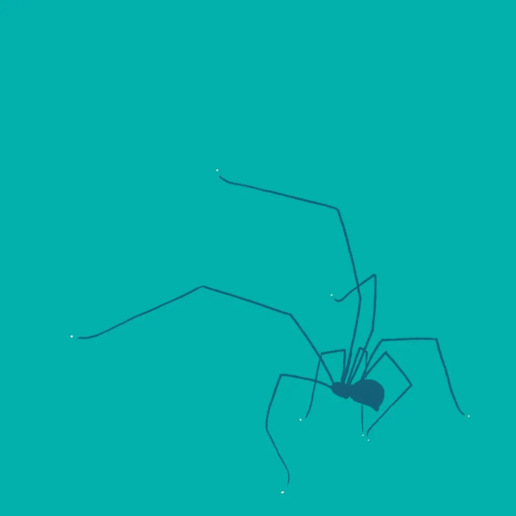 A dark blue, stylized drawing of a large spider is set against a solid teal background, featuring thin lines for the legs and a solid body shape.