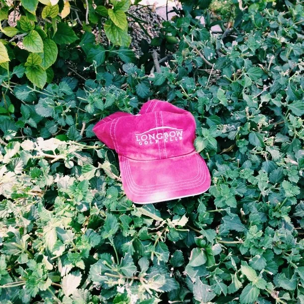 A pink baseball cap with embroidered text lies nestled among lush, varied green foliage, contrasting the soft fabric against the dense leaves.