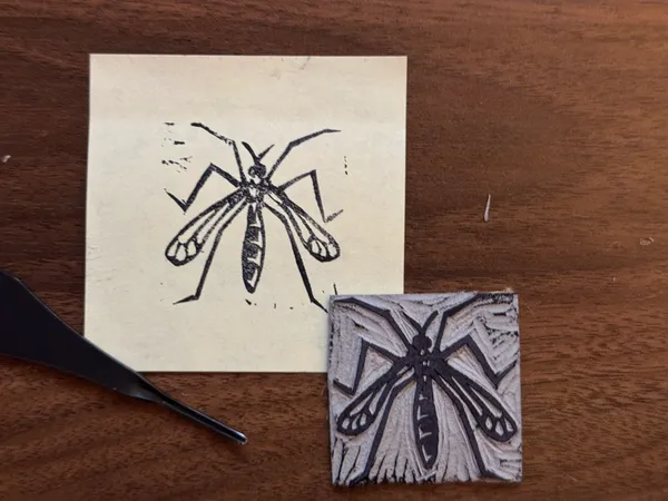 A black ink drawing of an insect on a cream sheet of paper is paired with a second, cross-hatched drawing of an insect on a small, textured gray square, set on a dark wooden surface.