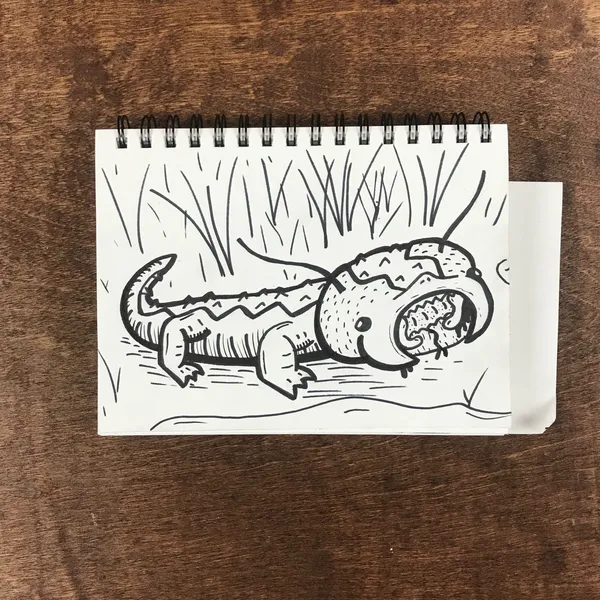 A black and white line drawing of a cartoon crocodile with its mouth open lies among vertical reeds on a spiral notebook page, which rests on a dark wooden surface.