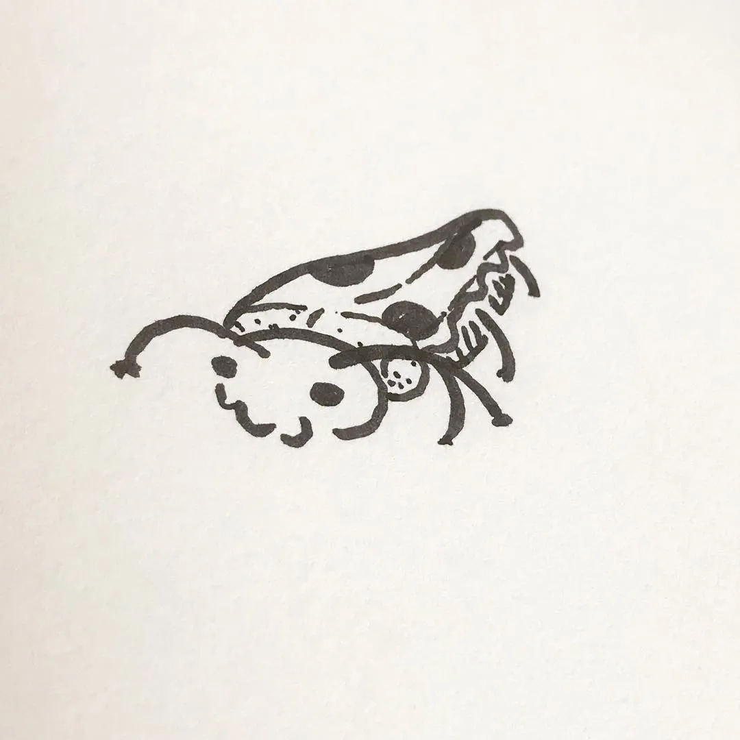A black ink drawing of a stylized insect with large antennae, a segmented body, and prominent wings.