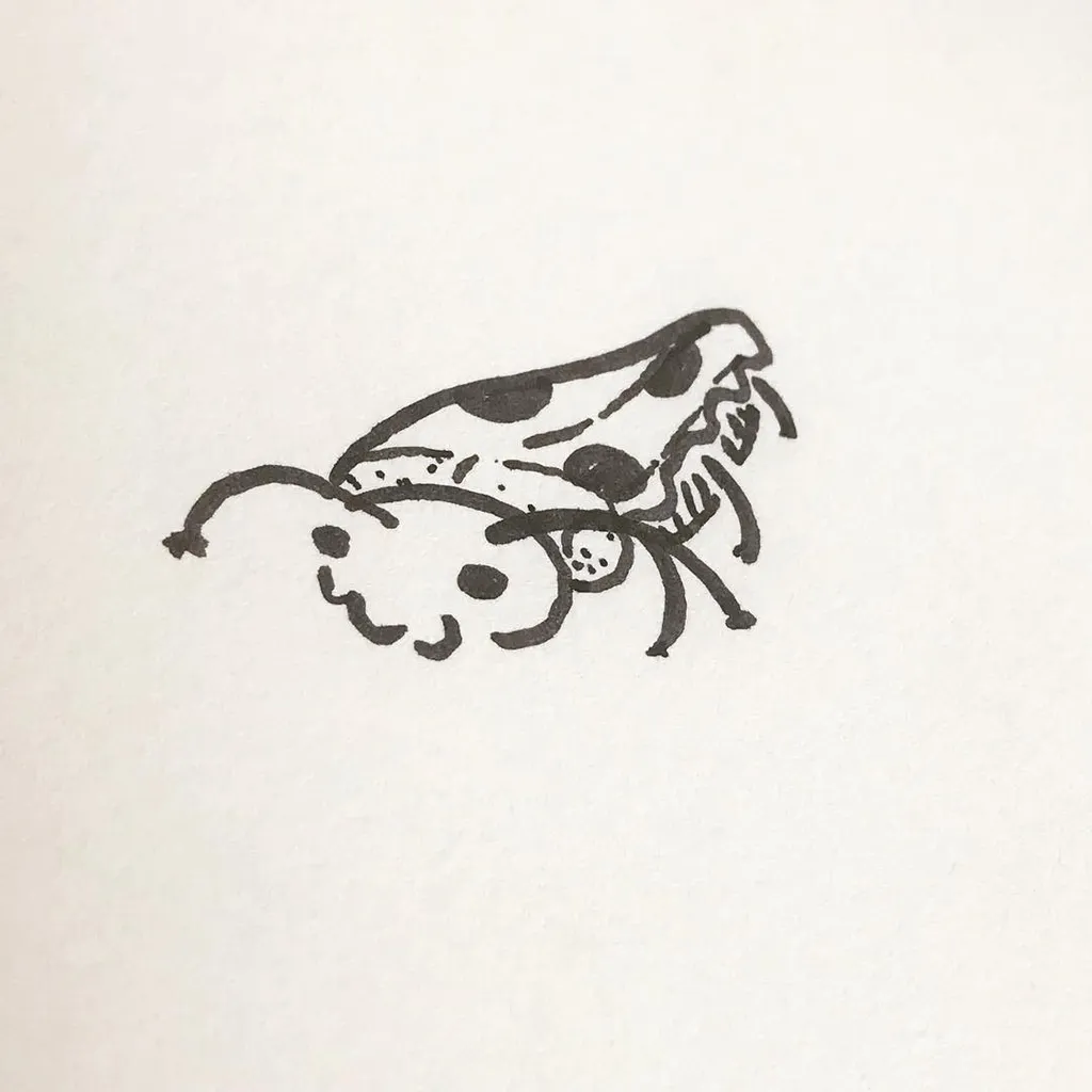 A black ink drawing of a stylized insect with large antennae, a segmented body, and prominent wings.