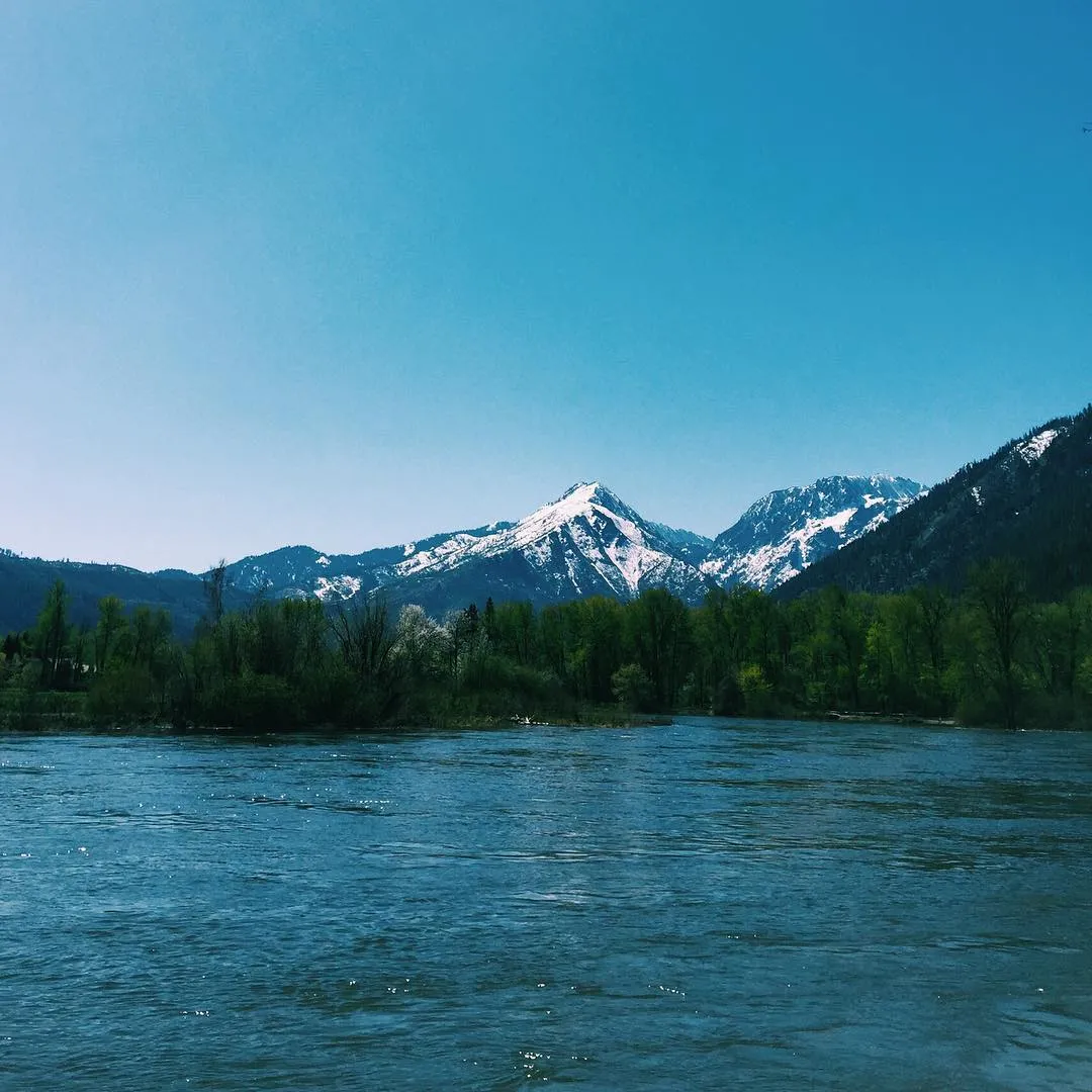 The composition features a rippling blue river below a band of green trees, backed by rugged, snow-dusted mountains under a clear, bright blue sky.