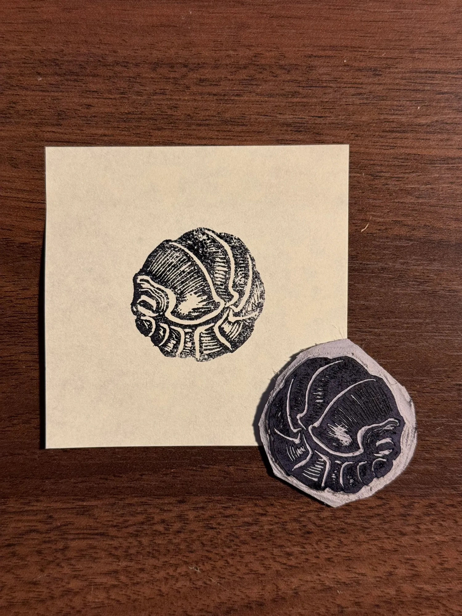A cream square paper on dark wood holds a black drawing of a segmented creature, next to a dark, textured print of the same creature.