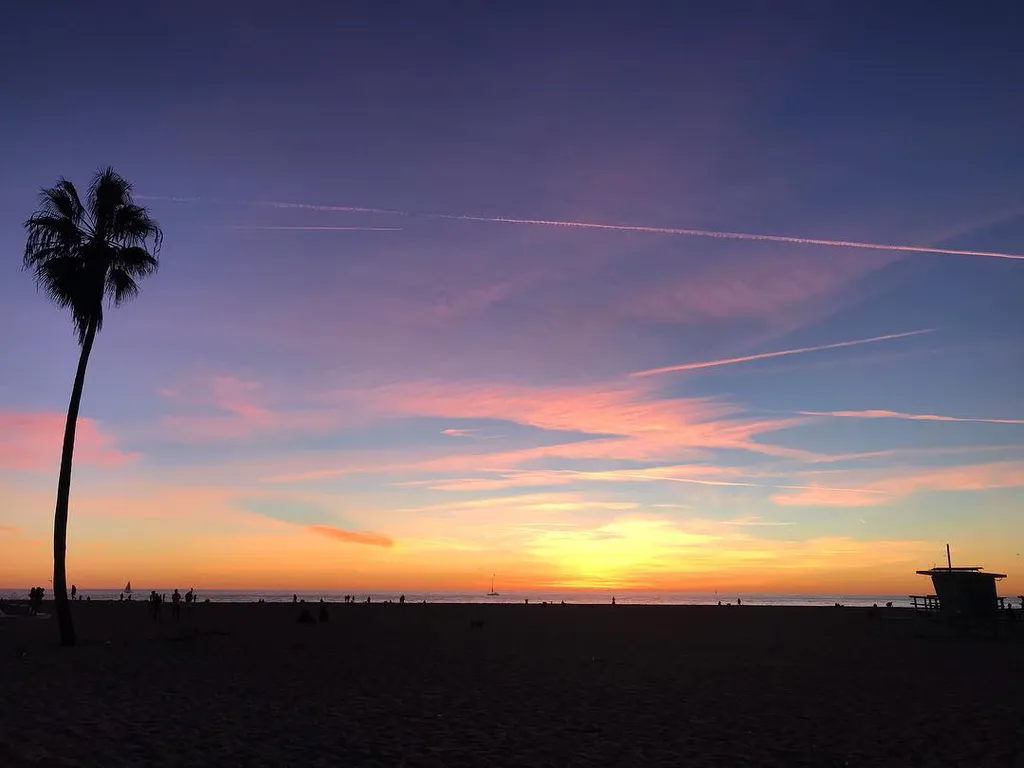 A tropical sunset features a dark sandy foreground, a silhouetted palm tree on the left, and a vast sky transitioning from deep purple to orange, marked by wispy clouds and white contrail streaks.