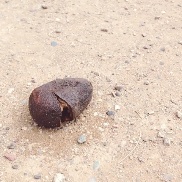 A heavily rusted, dark brown, curved metal object sits on a flat, light tan surface composed of dust and small gravel.
