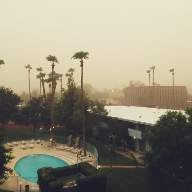 Muted tones dominate this hazy scene, showing a blue swimming pool and lush green trees in the foreground against a backdrop of pale buildings and diffused light.