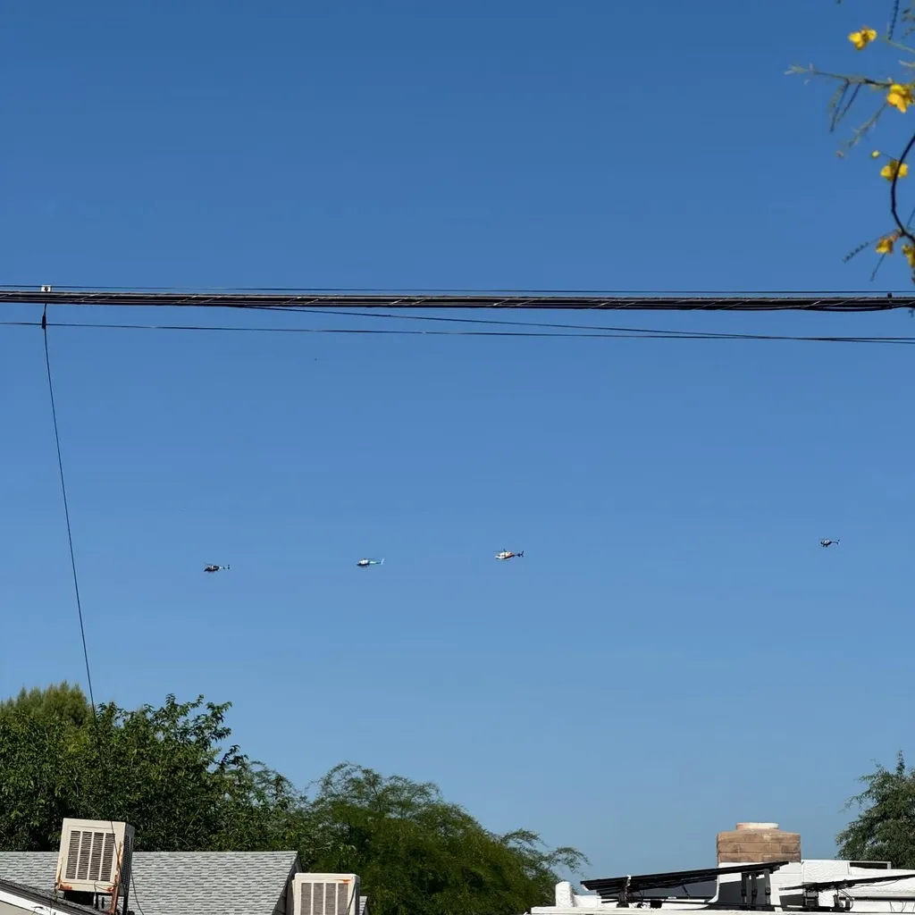 A bright blue sky dominates the composition, crossed by dark horizontal wires, with small planes visible in the distance and yellow flowers framing the upper right corner.