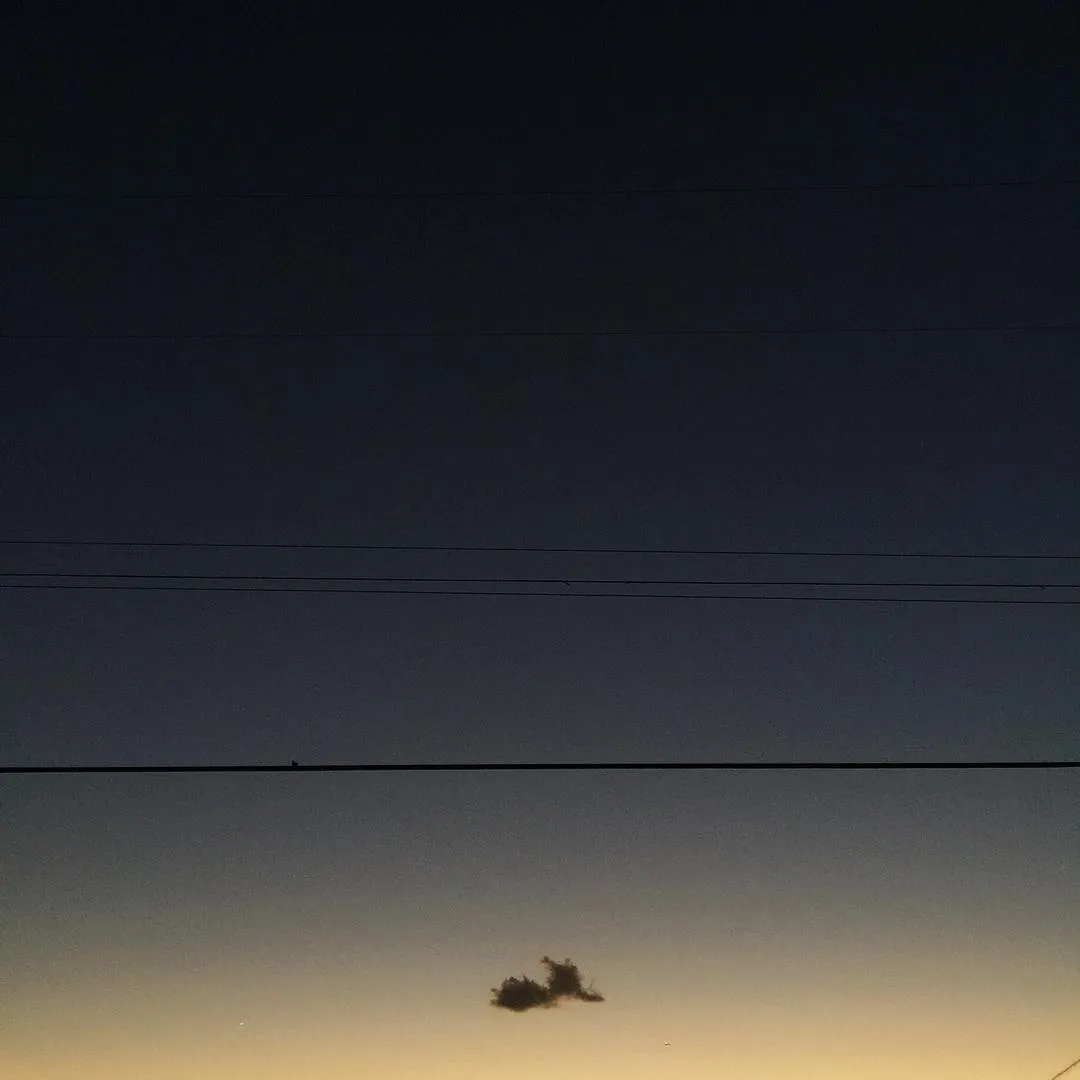 A dark blue sky dominates the composition, featuring multiple straight horizontal wires across the middle, with a small, dark cluster of trees silhouetted against a pale yellow horizon.