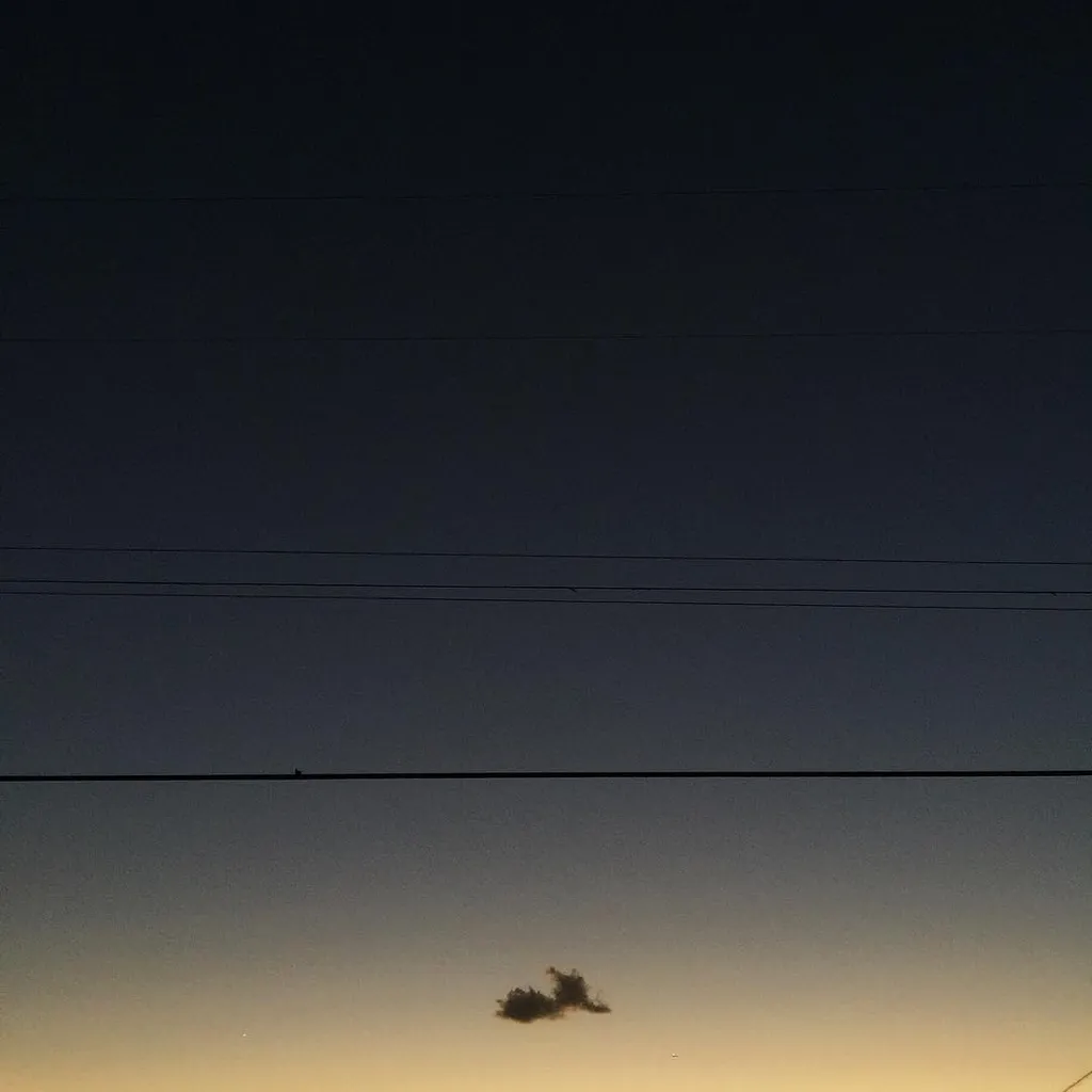 A dark blue sky dominates the composition, featuring multiple straight horizontal wires across the middle, with a small, dark cluster of trees silhouetted against a pale yellow horizon.