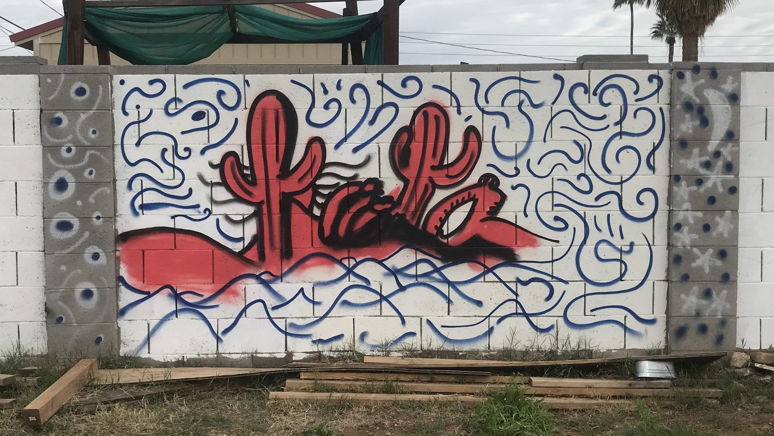 A Desert Scene?