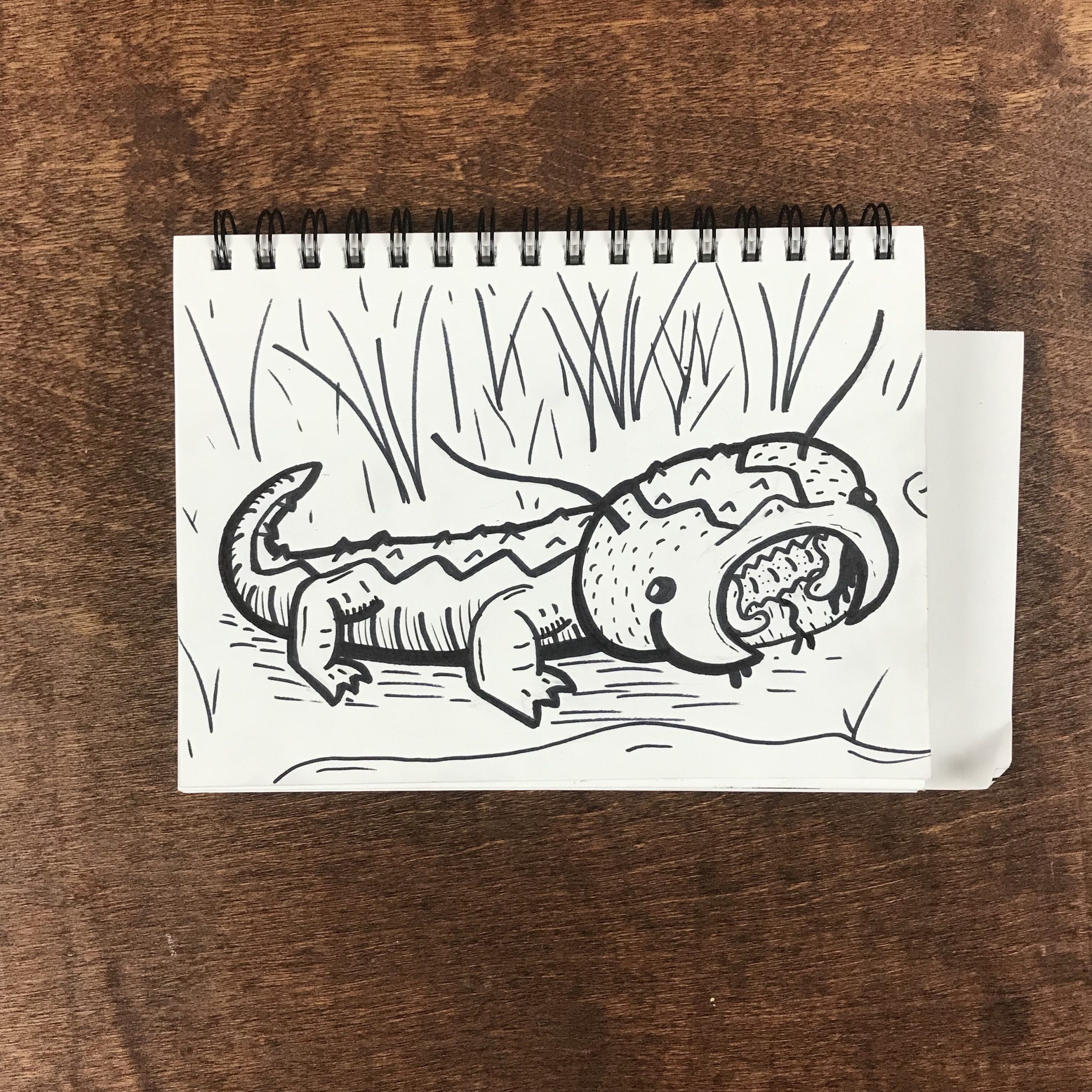 Caterpillars v Gators