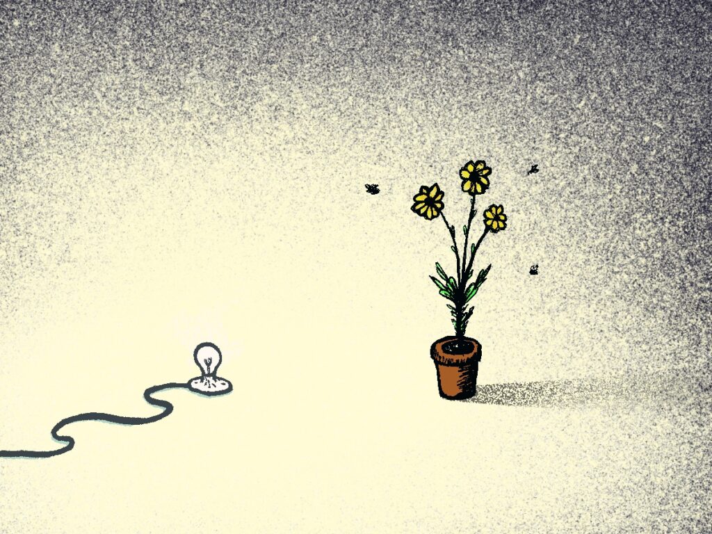 A flower getting light from a lightbulb with some bugs floating around it.