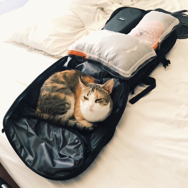 If only she could of come with me.