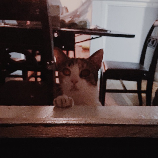 Peeping Tom