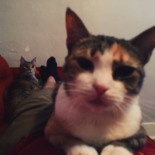 Chillin.