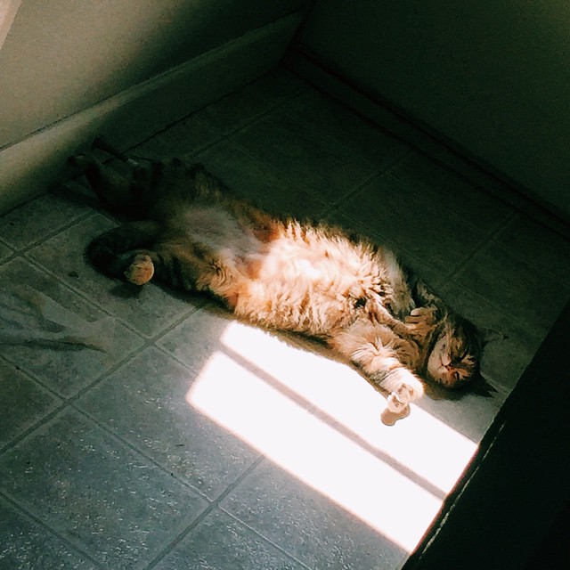 Sunbathing.