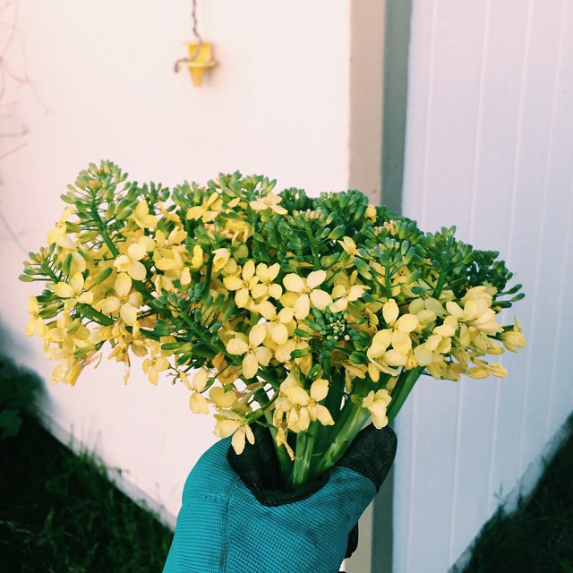 A bouquet for you.